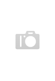 escort Istanbul Escorts